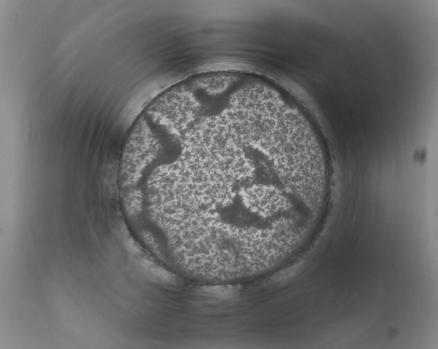 X0000111860937200909031748