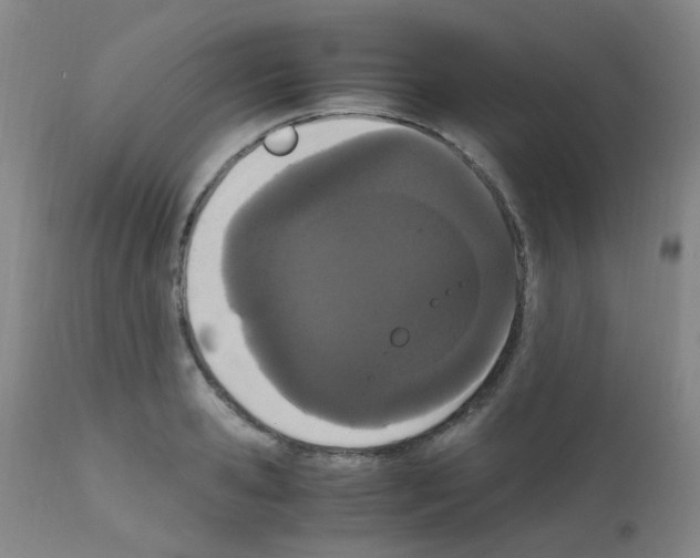 X0000111860941200909031748