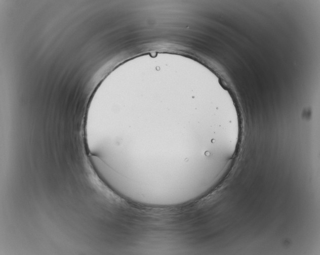 X0000111860946200909031748