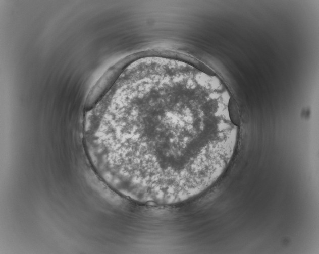 X0000111860948200909031748