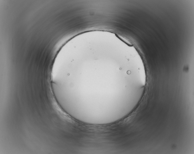 X0000111860952200909031748