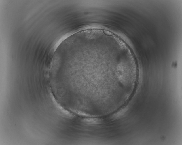 X0000111860953200909031748