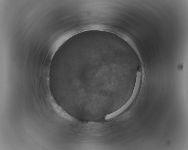 X0000111860954200909031748