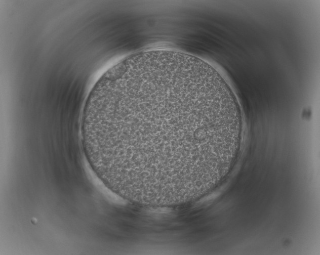 X0000111860957200909031748