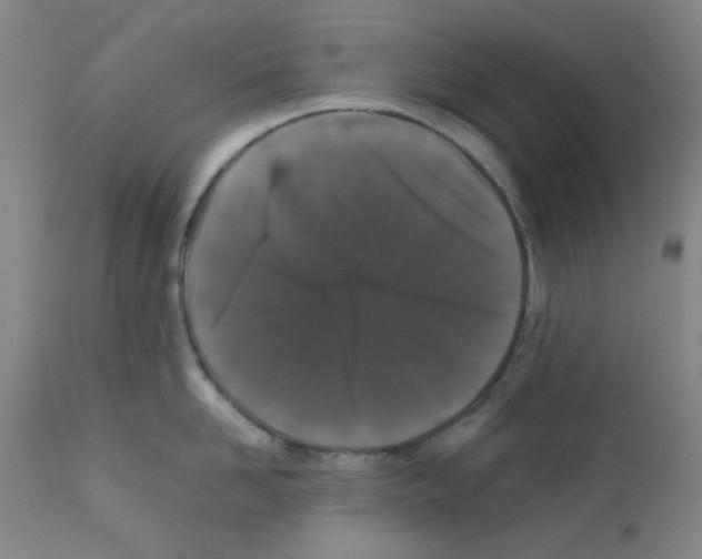 X0000111860958200909031748