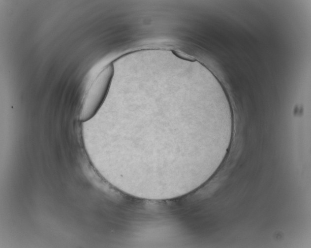 X0000111860960200909031748