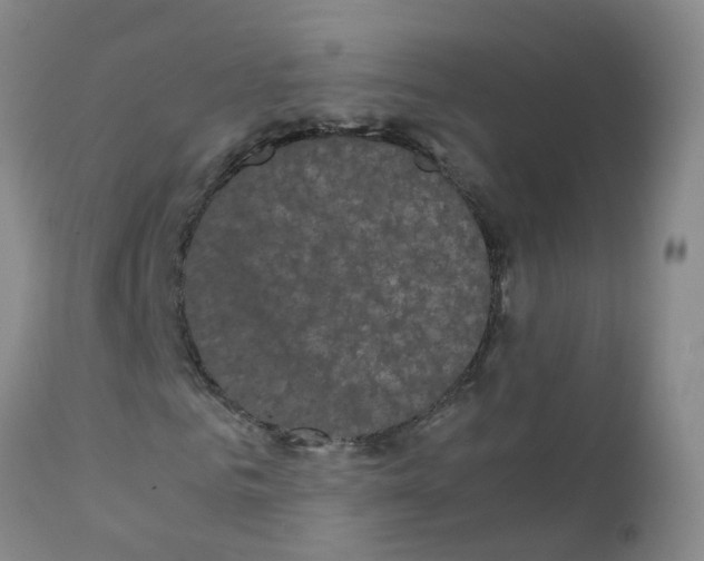X0000111860961200909031747