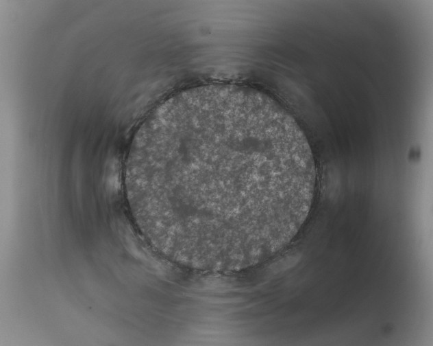 X0000111860962200909031747