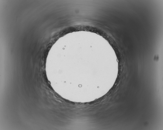 X0000111860965200909031747
