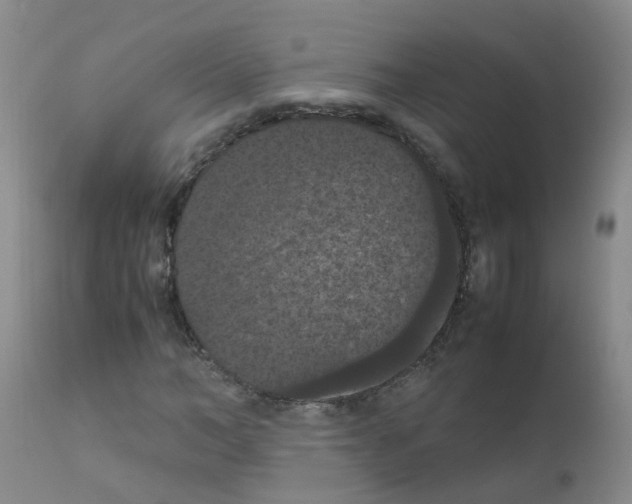 X0000111860966200909031747