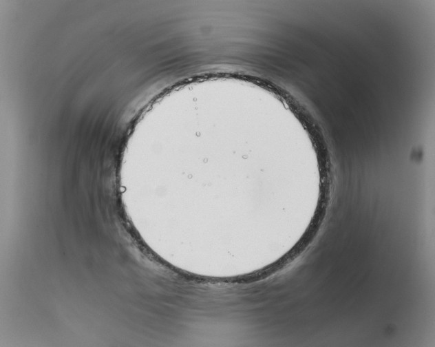 X0000111860969200909031747