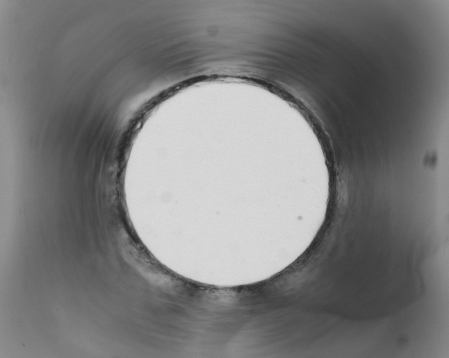 X0000111860971200909031747