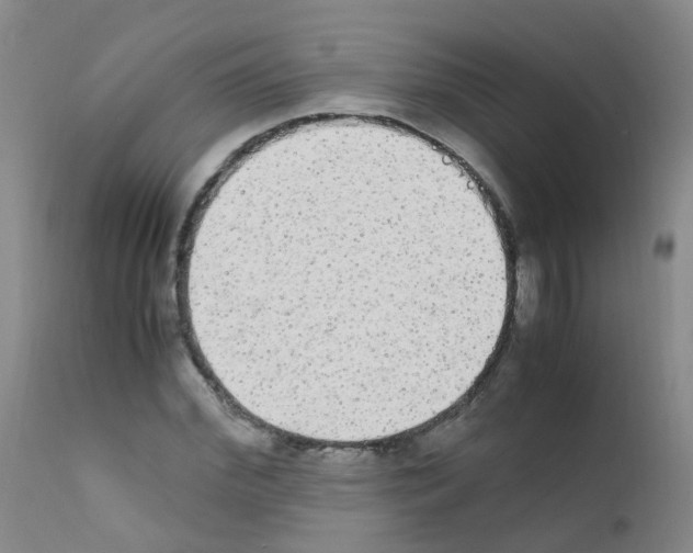 X0000111860972200909031747