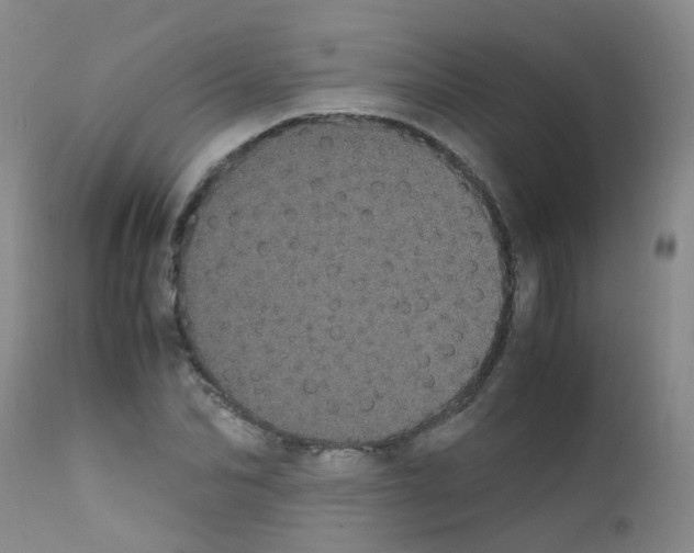 X0000111860974200909031747