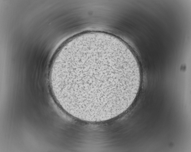 X0000111860976200909031747