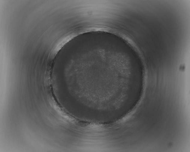 X0000111860977200909031747