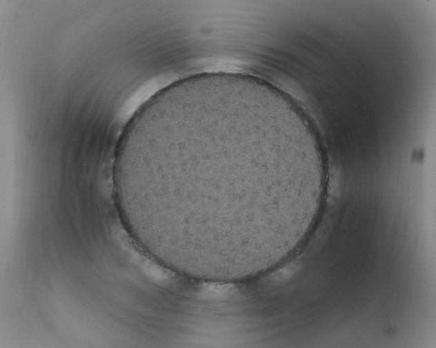 X0000111860978200909031747