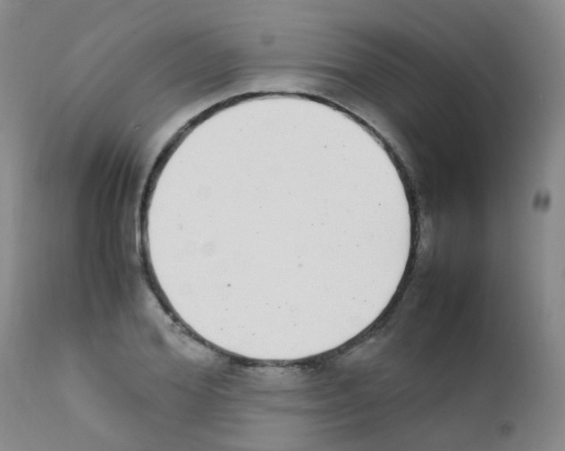 X0000111860980200909031747