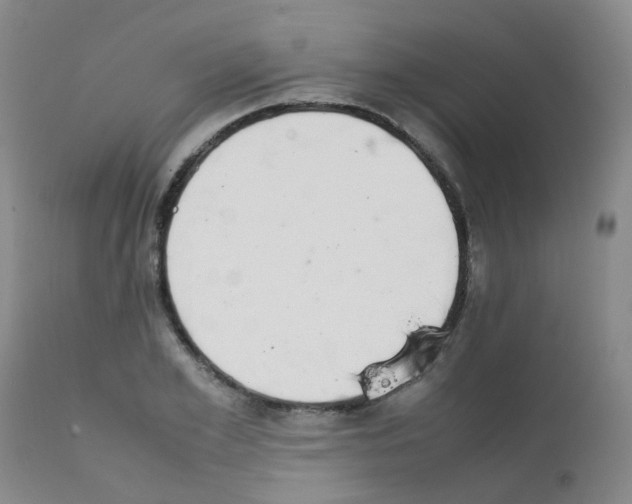X0000111860981200909031747