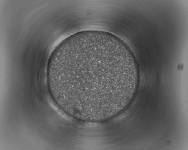 X0000111860982200909031747
