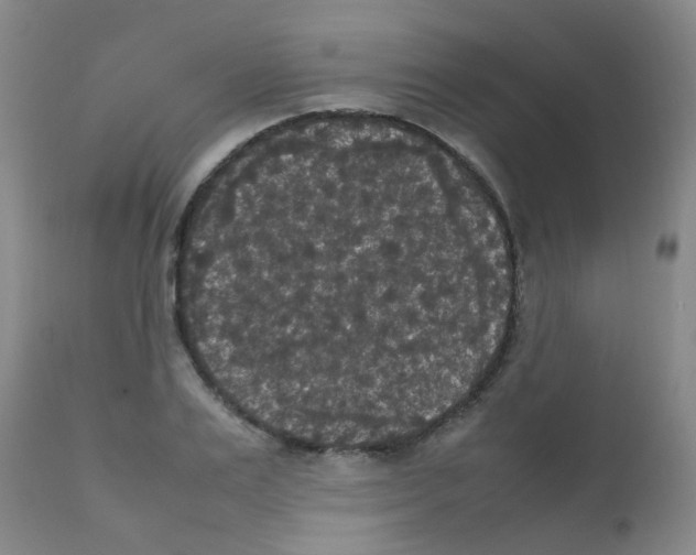 X0000111860983200909031747