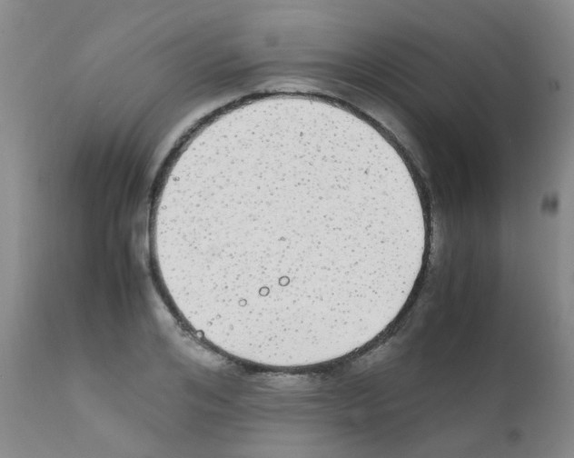 X0000111860984200909031747
