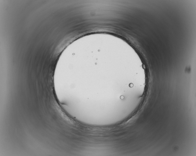 X0000111860985200909031747
