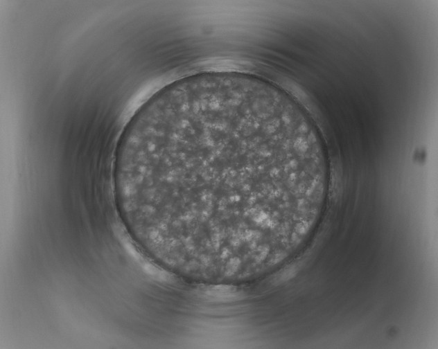 X0000111860986200909031747