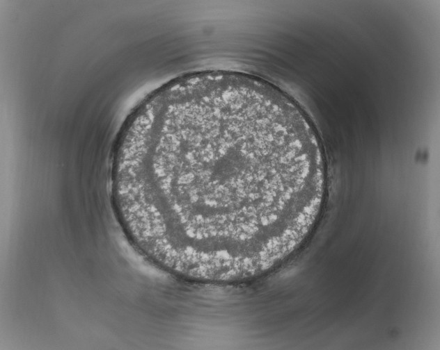 X0000111860987200909031747