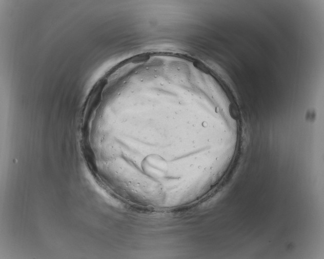 X0000111860989200909031747