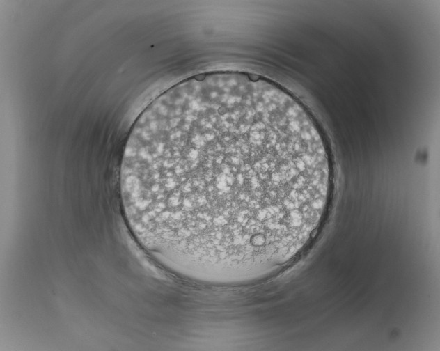 X0000111860993200909031747