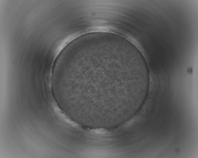X0000111860994200909031747