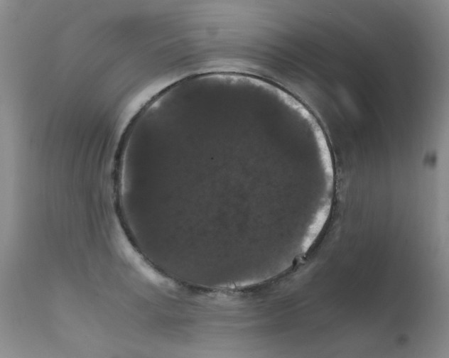 X0000111860995200909031747