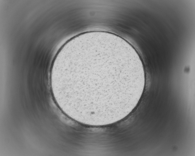 X0000111860996200909031747
