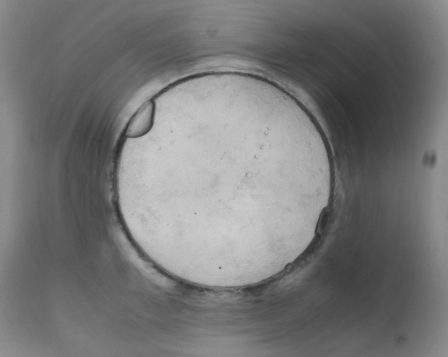 X0000111860997200909031747