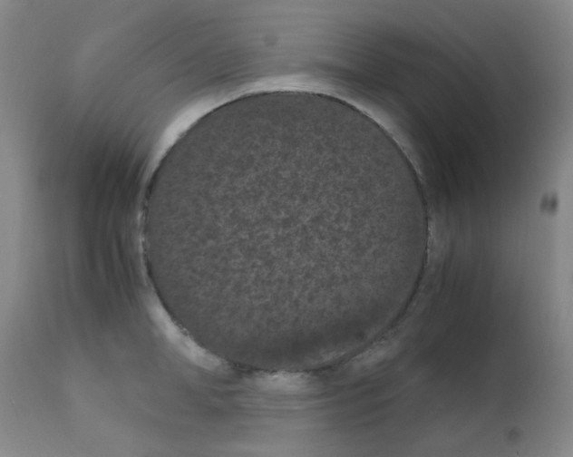 X0000111860998200909031747