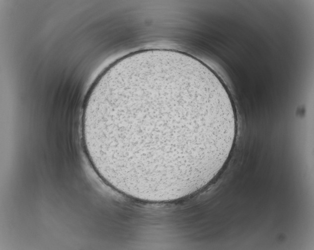 X0000111861000200909031747