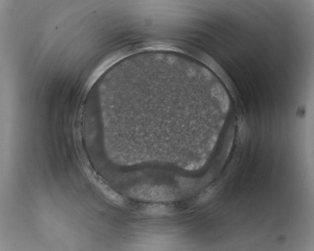 X0000111861002200909031747