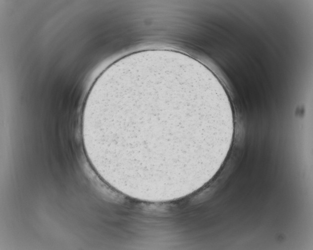 X0000111861004200909031747