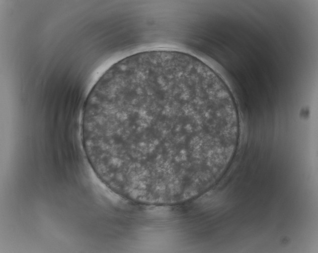 X0000111861006200909031747