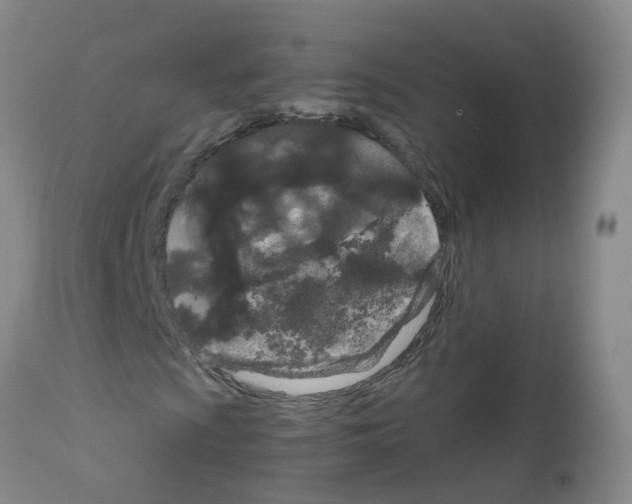 X0000111861009200909031746