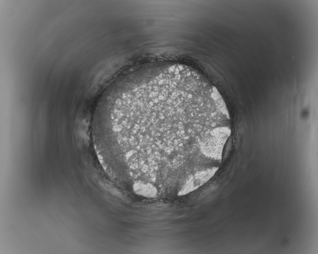 X0000111861010200909031746