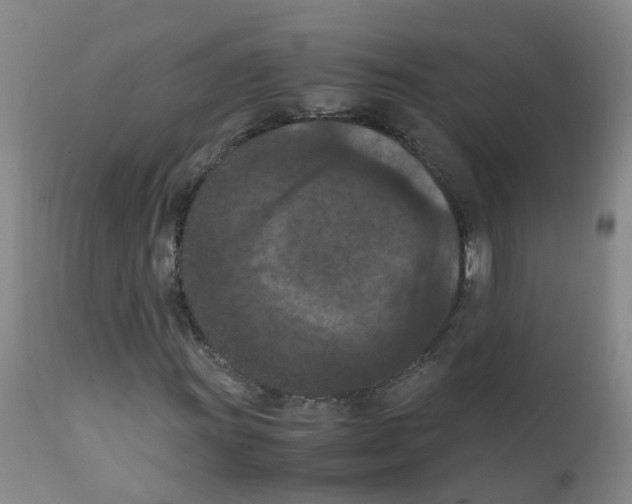 X0000111861011200909031746