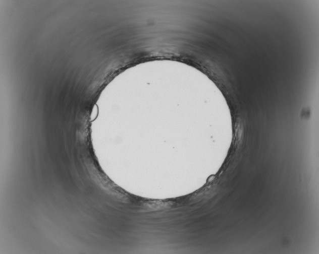 X0000111861012200909031746