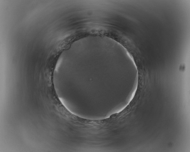 X0000111861013200909031746
