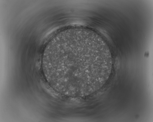 X0000111861015200909031746