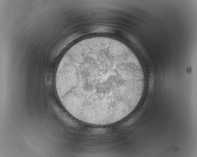 X0000111861017200909031746