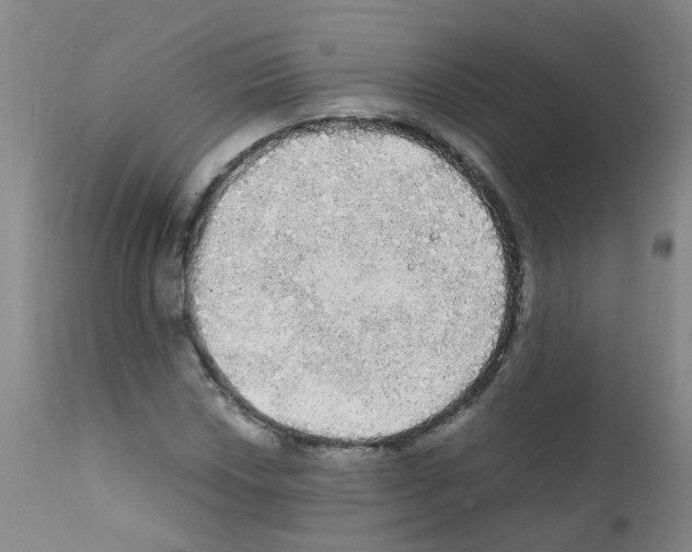 X0000111861018200909031746