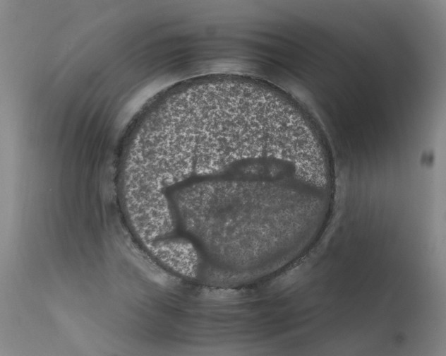 X0000111861019200909031746