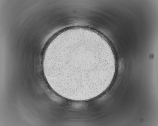X0000111861021200909031746